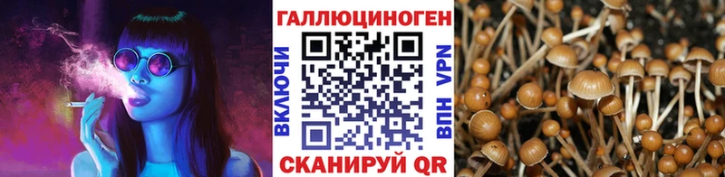 даркнет сайт  Невьянск  Псилоцибиновые грибы мицелий 